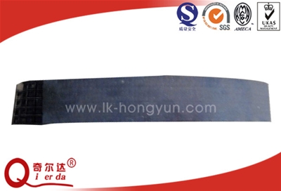 Brake Band